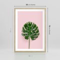 Plakat w ramie 50x70 - Egzotyczna Roślinność - liście, monstera - rama drewno