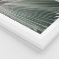 Plakat w ramie 40x50 - Jasnozielony Świat - palma, liść - rama biała