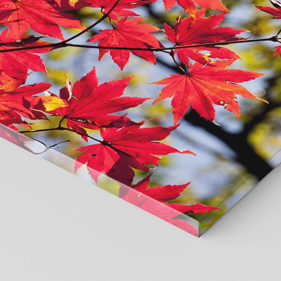 Obraz na płótnie 30x30 - Jesienny Urok Drzewa i Opadających Liści - drzewo, liście