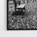 Obraz w ramie 50x70 - Spadające Liście - czarno białe zdjecie, park - rama czarna