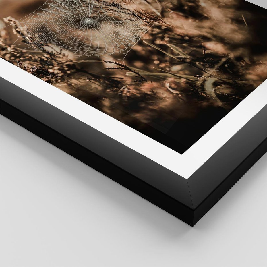 Plakat w ramie 40x50 - Jesienny Mikrokosmos - suchetrawy, jesienny klimat - rama czarna