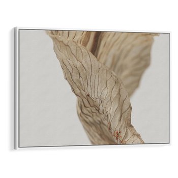 Obraz w ramie 120x80 - Suszone piękno - susz, suche - rama biała