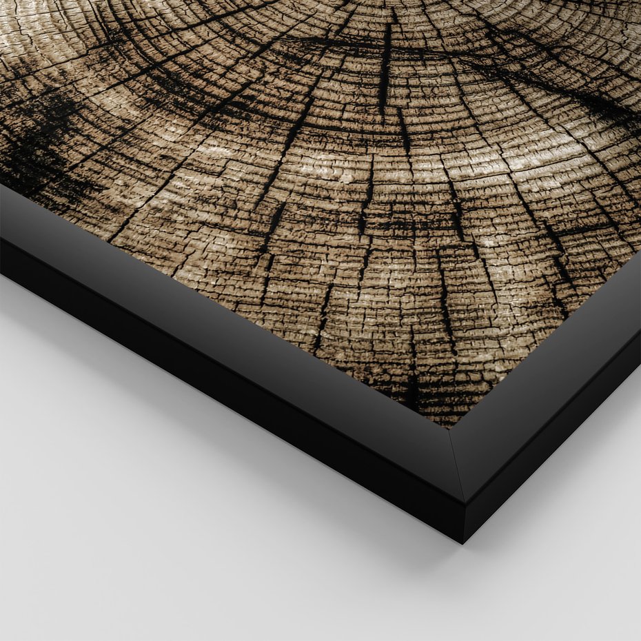 Zestaw obrazy w ramie 40x50 galeria - Drewno, pień, boho, domek - rama czarna