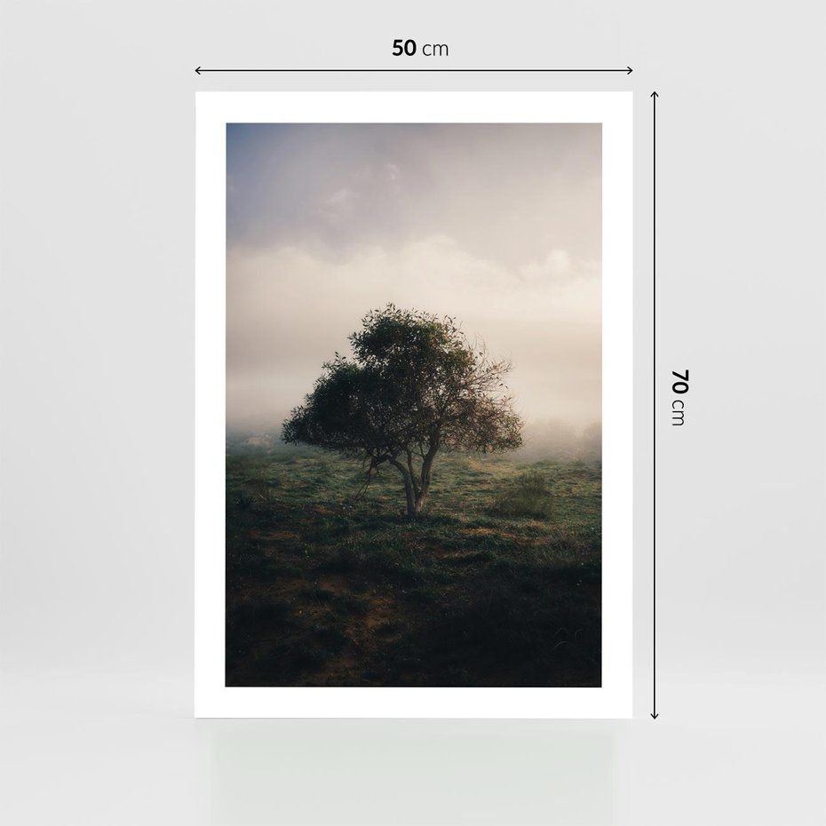 Plakat bez ramy 50x70 - Zamglona Prostota - artystyczna fotografia, samotne drzewo na zamglonej łące