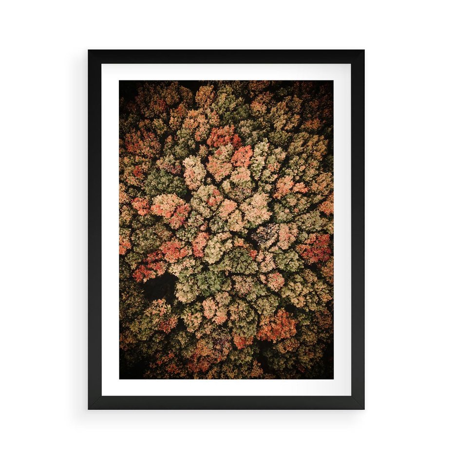 Plakat w ramie 50x70 - Jesień z Lotu Ptaka: Malowniczy Las - las jesienią z lotu ptaka - rama czarna