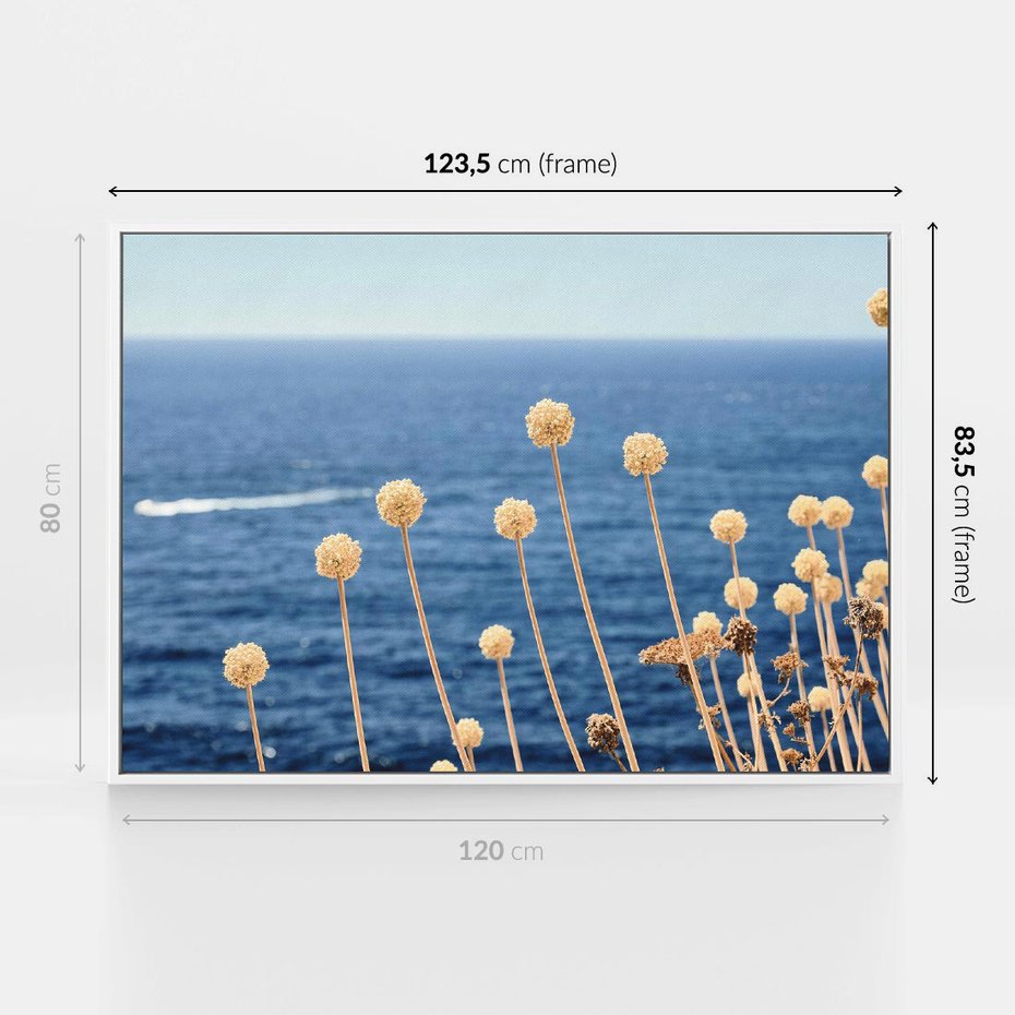 Obraz w ramie 120x80 - Kontrasty Natury - fotografia, pierwszy plan sucha roślinność - rama biała