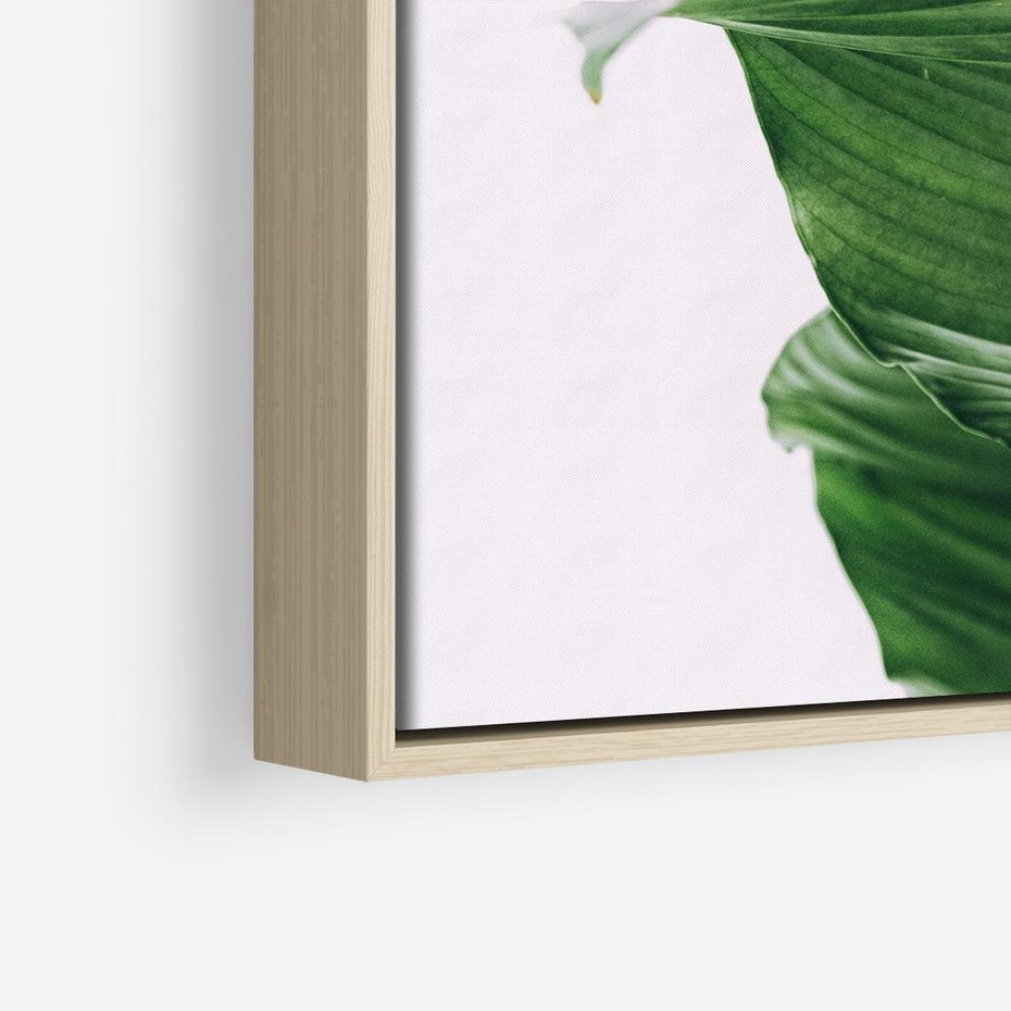 Obraz w ramie 50x50 - Zielone liście monstery - liście, monstera - rama drewno