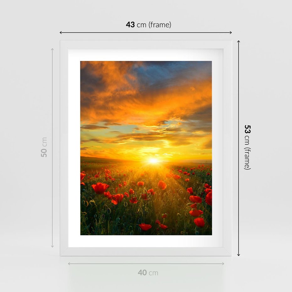 Plakat w ramie 40x50 - Magia zachodu słońca na łące z makami - łąka, zachód słońca - rama biała