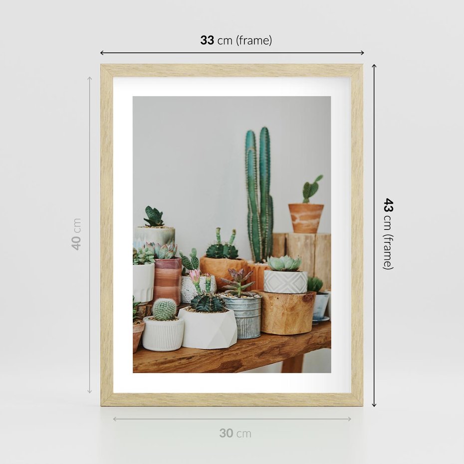 Plakat w ramie 30x40 - Kaktusowa Galeria w Doniczkach - kaktusy w doniczkach, fotografia - rama drewno