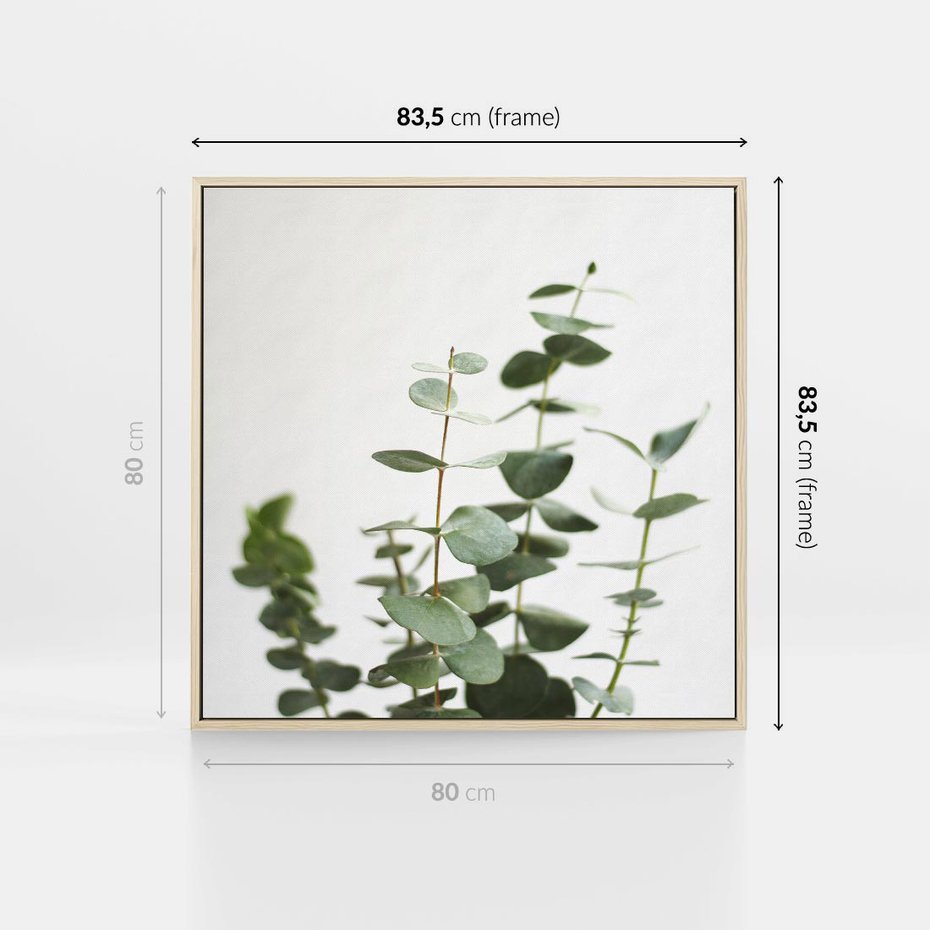 Obraz w ramie 80x80 - Żywa eukaliptusowa zieleń - eukaliptus, zielone - rama drewno