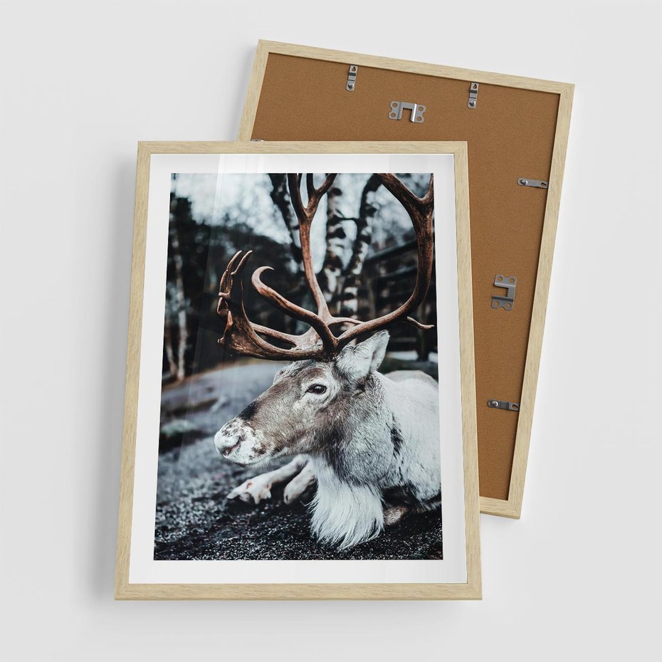 Plakat w ramie 50x70 - W Zimowej Krainie - renifer, zima - rama drewno