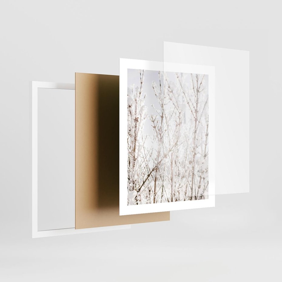 Plakat w ramie 40x50 - Szron na Gałęziach - ośnieżone gałązki, szron na gałęziach - rama biała