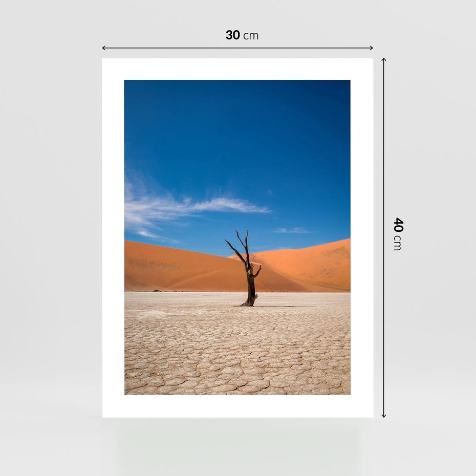 Plakat bez ramy 30x40 - Słońce i Suche Drzewo - pustynia, suche
