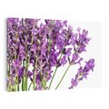 Obraz na płótnie 70x50 - Pola lawendy w pełnym rozkwicie - lawenda, kwiaty