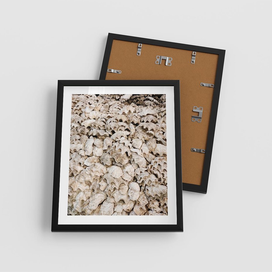 Plakat w ramie 40x50 - Symfonia Natury - kompozycja z białych muszli - rama czarna