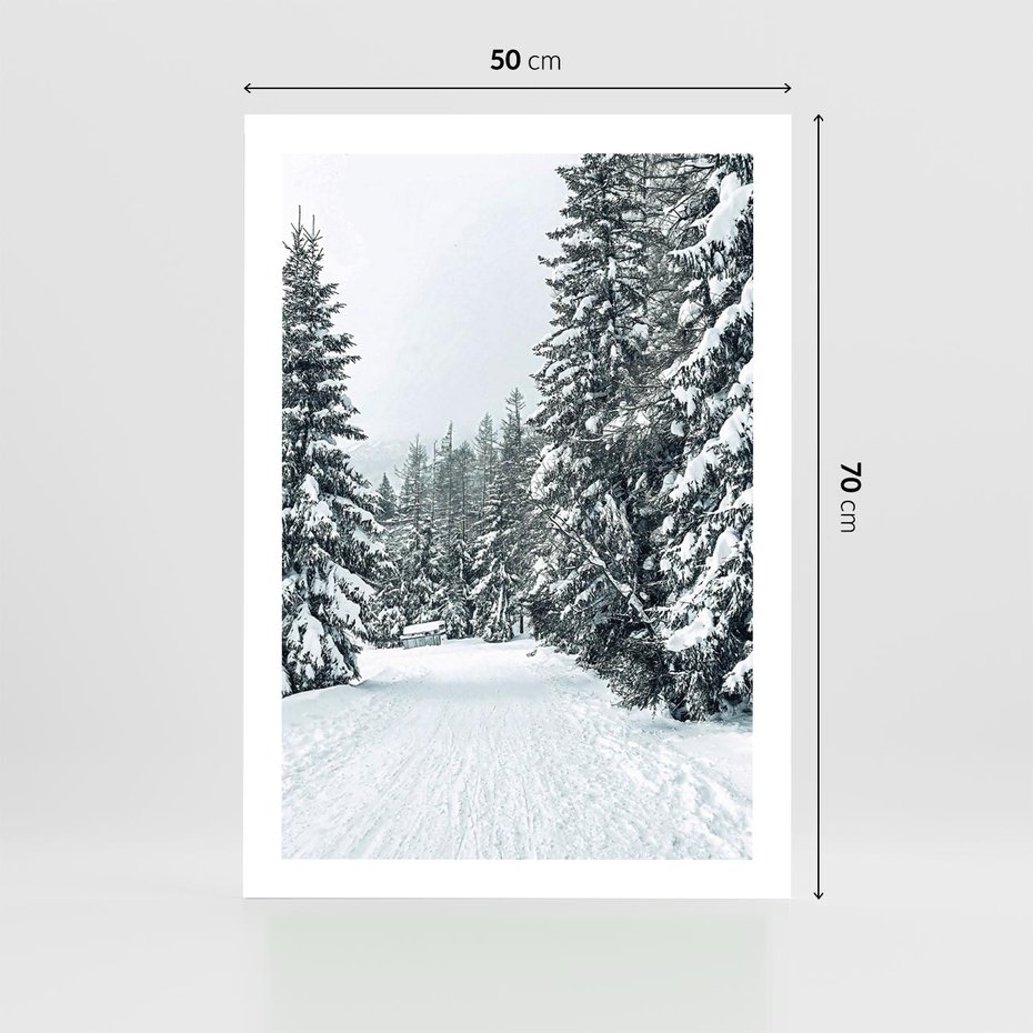 Plakat bez ramy 50x70 - Magia Zimy na Obrazie - las, zima