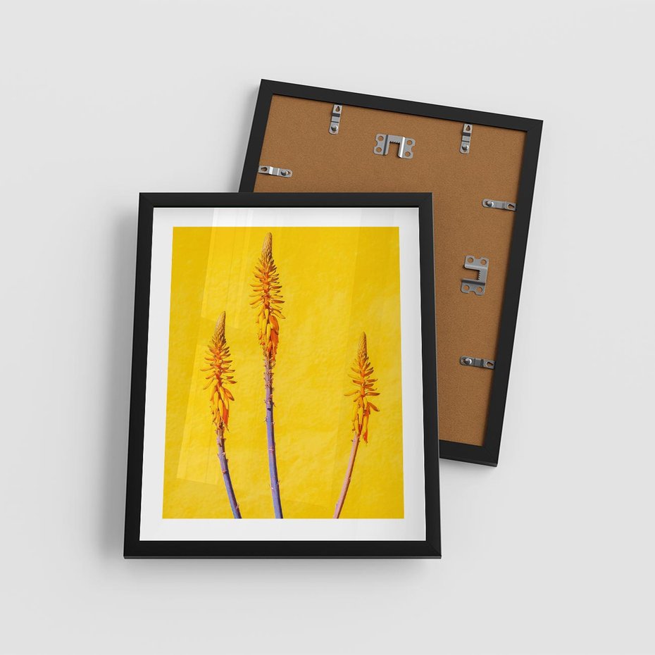 Plakat w ramie 40x50 - Radość Natury - kolor, kwiaty - rama czarna