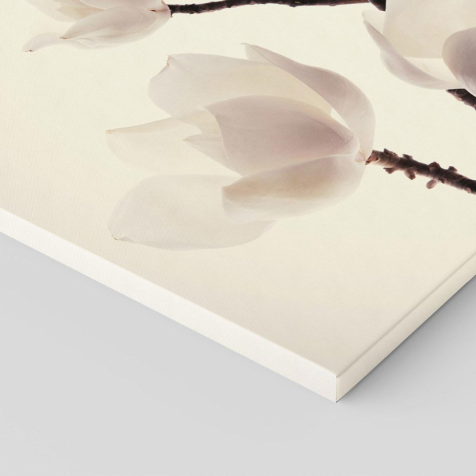 Obraz na płótnie 120x80 - Elegancja Natury - magnolia, białe