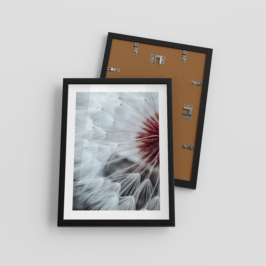Plakat w ramie 30x40 - Makro Magii Natury - dmuchawiec, zbliżenie makro - rama czarna