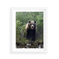 Plakat w ramie 40x50 - Spotkanie z Niedźwiedziem w Lesie - niedźwiedź, las - rama biała