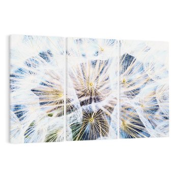 Obraz na płótnie 120x80 - marzenia w locie - dmuchawce, dmuchawiec