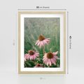 Plakat w ramie 30x40 - Natura w Pełnym Blasku - kwiaty na łące, różowe kwiaty polne - rama drewno