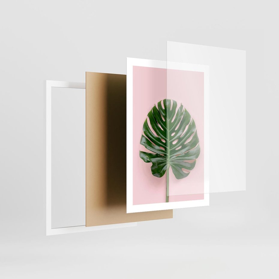 Plakat w ramie 50x70 - Monstera w Różowym Świetle - liść monstery, różowe tło - rama biała