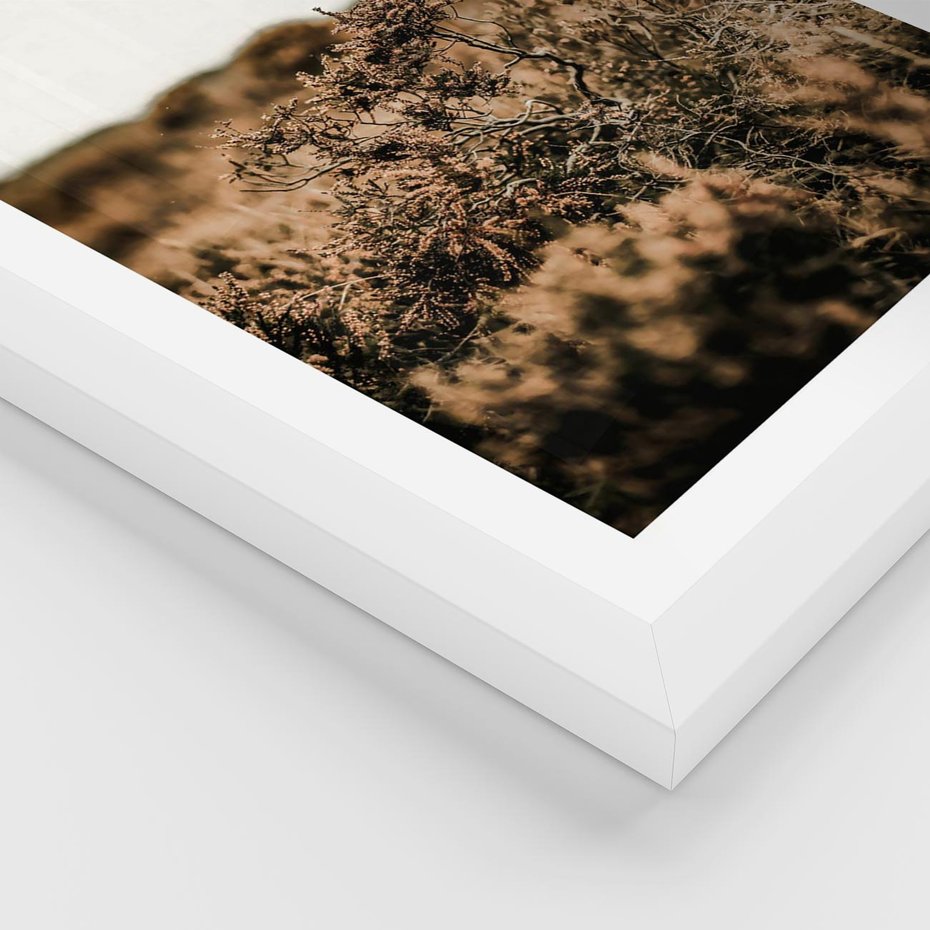 Plakat w ramie 30x40 - Krajobraz W Naturze: Beże i Brązy - suche krzewy, natura - rama biała