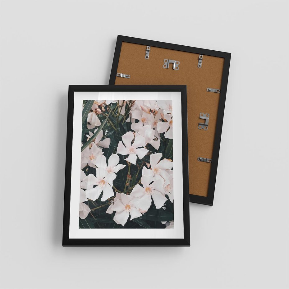 Plakat w ramie 30x40 - Egzotyczna Uroda - białe kwiaty, tropikalne kwiaty - rama czarna