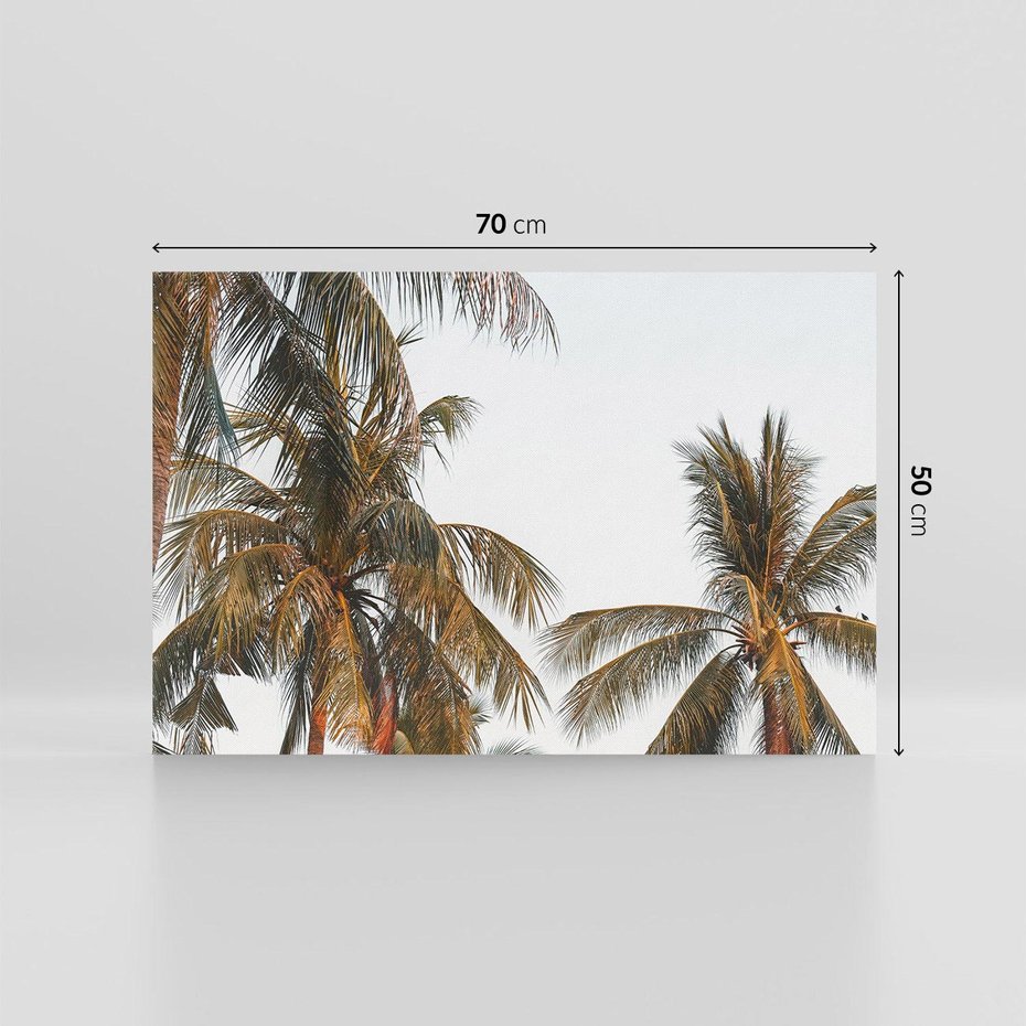 Obraz na płótnie 70x50 - Palmy - tęsknota za Hawajami - palmy, Hawaje