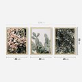 Zestaw obrazy w ramie 40x50 galeria - Rośliny, liście, kaktusy - rama drewno