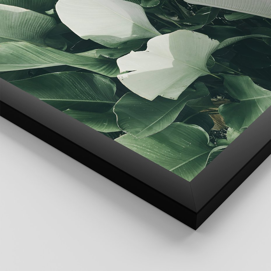 Zestaw obrazy w ramie 40x50 galeria - Liście, palma, monstera - rama czarna