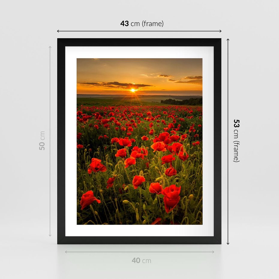 Plakat w ramie 40x50 - Maki przy zachodzie słońca - maki, zachód - rama czarna