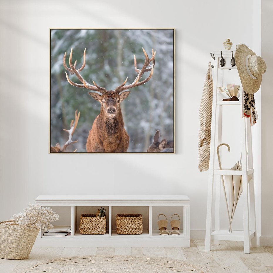 Obraz w ramie 80x80 - Monarcha Zimowej Dziczy - jeleń, zima - rama drewno