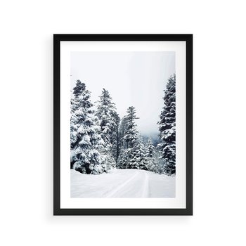 Plakat w ramie 40x50 - Zimowy Las Pod Kołdrą - las, zima - rama czarna