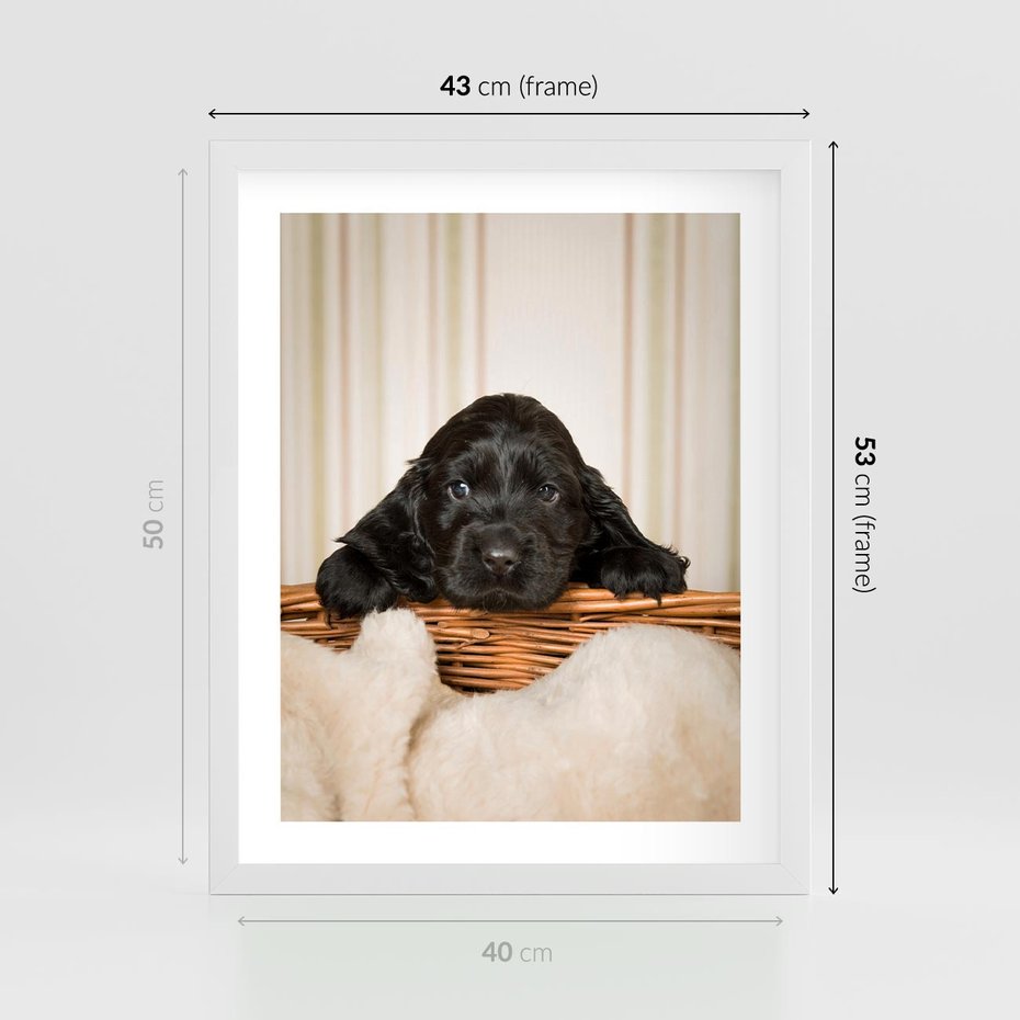 Plakat w ramie 40x50 - Uroczy szczeniak w akcji - piesek, szczeniak - rama biała