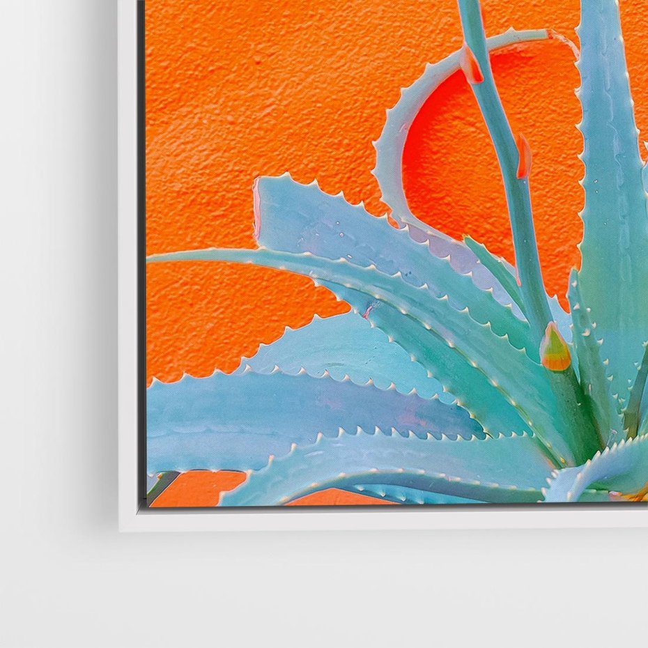 Obraz w ramie 50x50 - Naturalna Harmonia - kaktusy, liście - rama biała