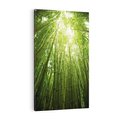 Obraz na płótnie 70x100 - Siła Natury - drzewa, las