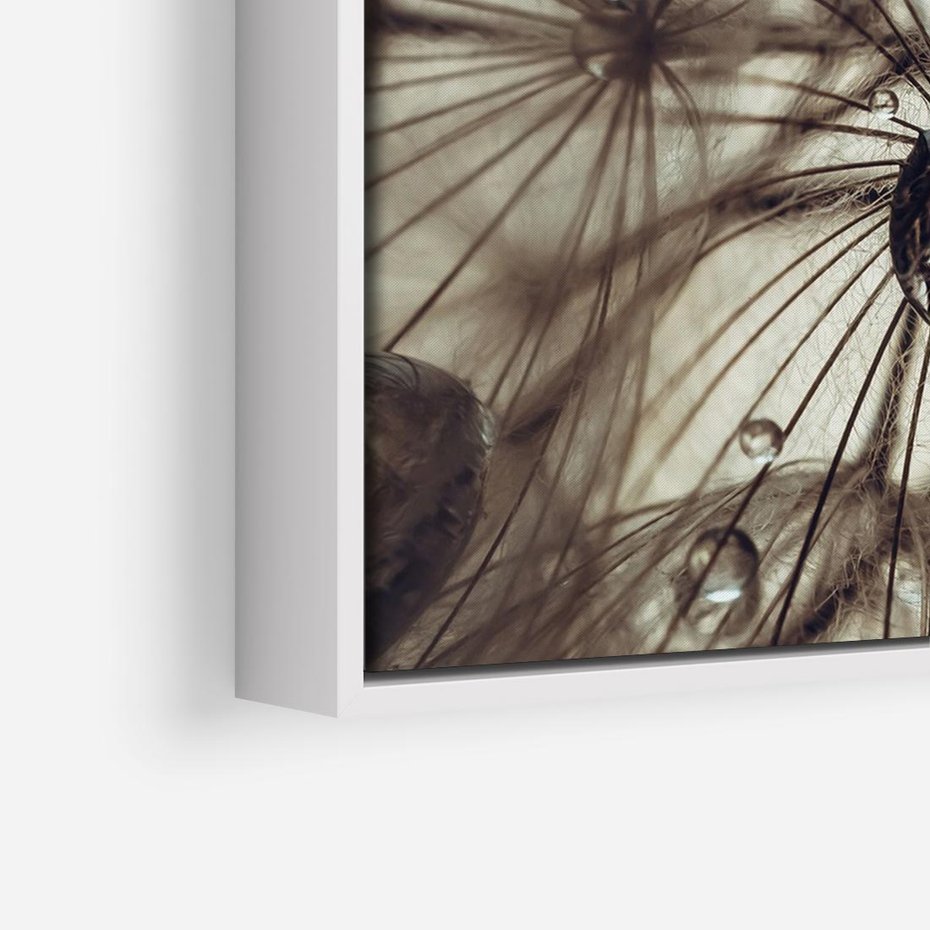 Obraz w ramie 70x50 - Lekkie dmuchawce - dmuchawce, krople - rama biała