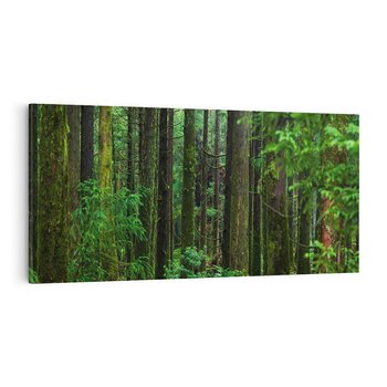 Obraz na płótnie 120x60 - Mistyka leśnej głuszy - las, drzewa