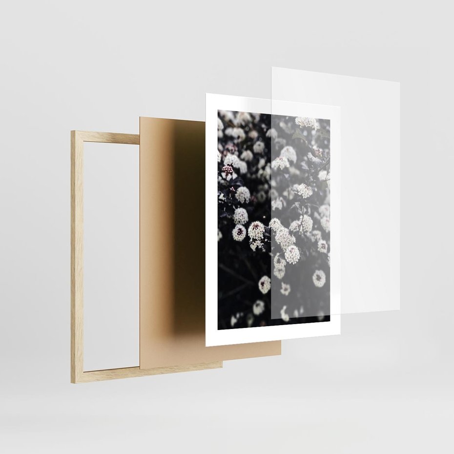 Plakat w ramie 30x40 - Białe Kwiaty na Kwitnącym Krzewie - białe kwiaty, kwitnący krzew - rama drewno
