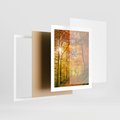 Plakat w ramie 40x50 - Złote barwy jesiennego lasu - las, jesień - rama biała