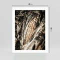 Plakat bez ramy 40x50 - Kukurydza w Jesiennej Scenie - kukurydza, jesień