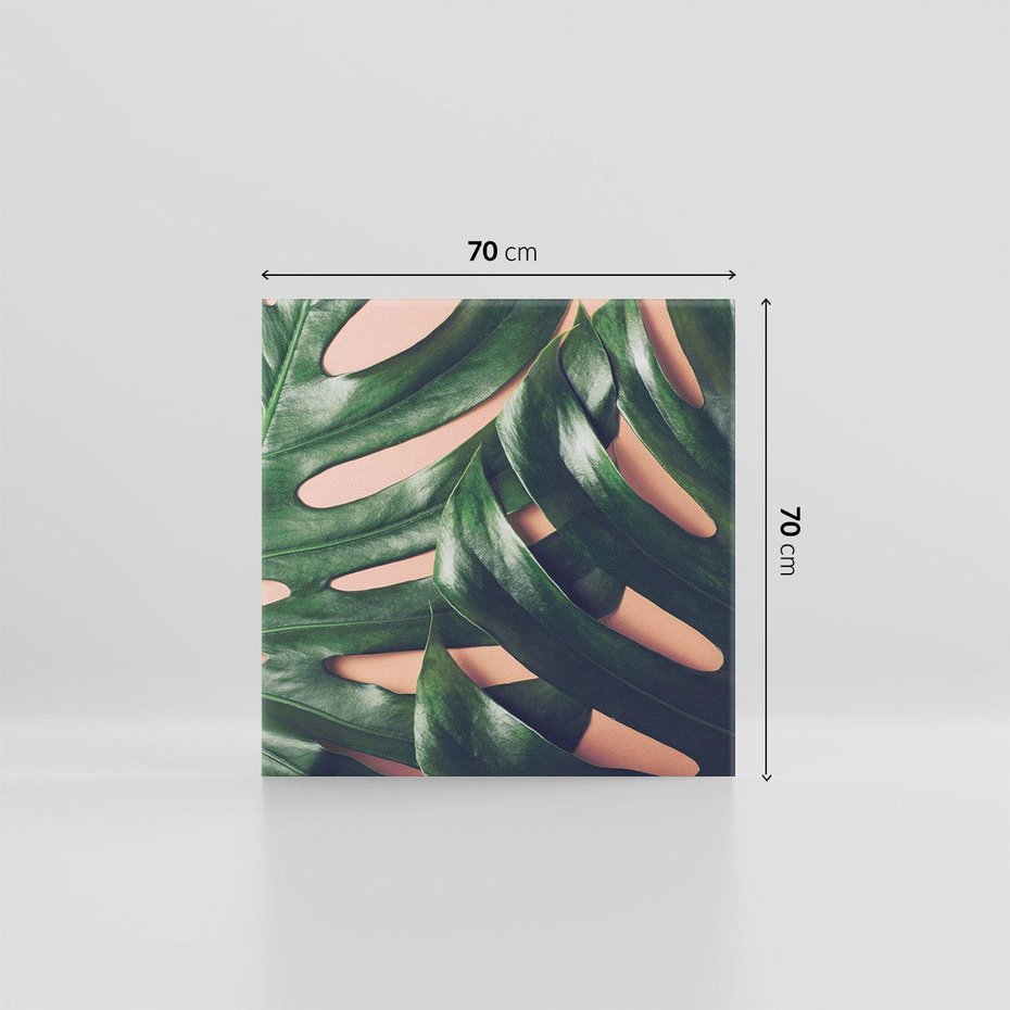 Obraz na płótnie 70x70 - Monstera Liście - monstera, liście