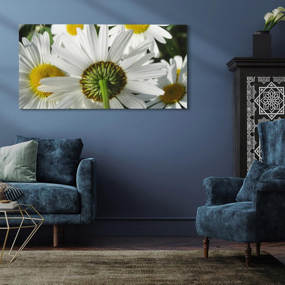 Obraz na płótnie 120x60 - Stokrotki w pełnym rozkwicie - stokrotki, kwiaty