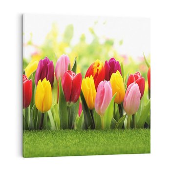 Obraz na płótnie 60x60 - delikatność kwiatowego świata - tulipany, kwiaty