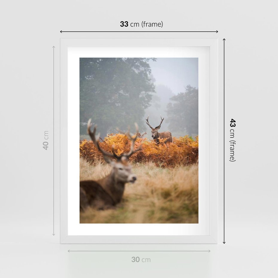 Plakat w ramie 30x40 - Malownicza Harmonia - jelenie, jesień - rama biała