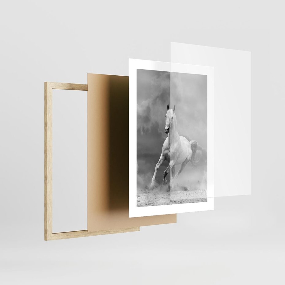 Plakat w ramie 30x40 - Elegancja w Czarno-Białym - koń, biało - rama drewno