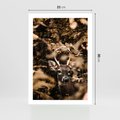 Plakat bez ramy 21x30 - Jesienny Jeleń w Lesie - jeleń, w lesie