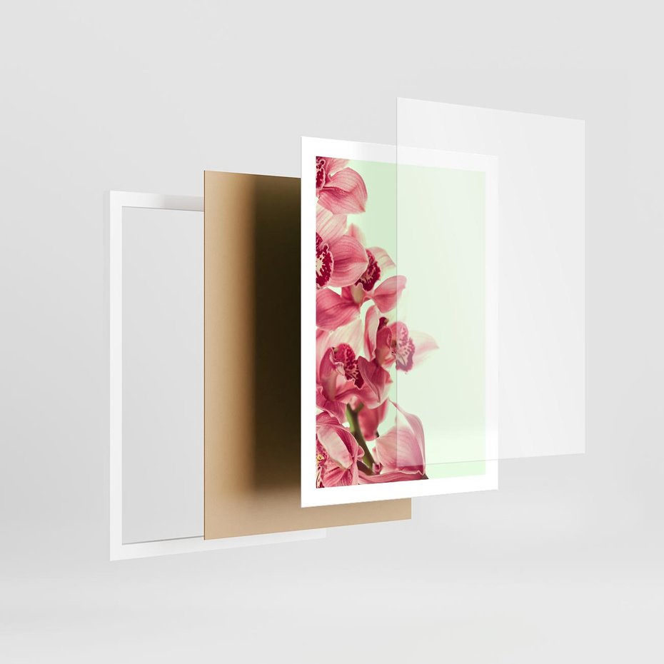 Plakat w ramie 50x70 - Orchidea - delikatne kwiaty - orchidea, kwiaty - rama biała